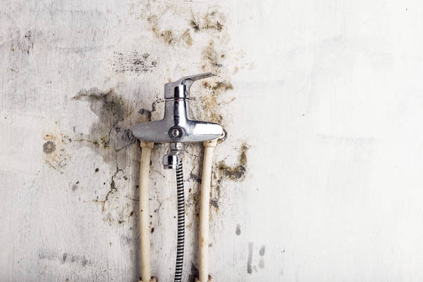 Sparks, GA Mold Removal Company