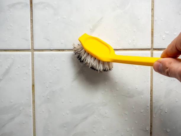 Best Local Mold Removal Service  in Sparks, GA