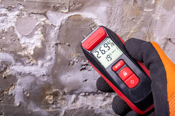 Best Mold Damage Repair  in Sparks, GA