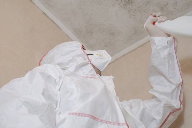 Best Crawl Space Mold Removal  in Sparks, GA